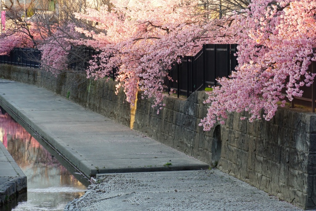 京都