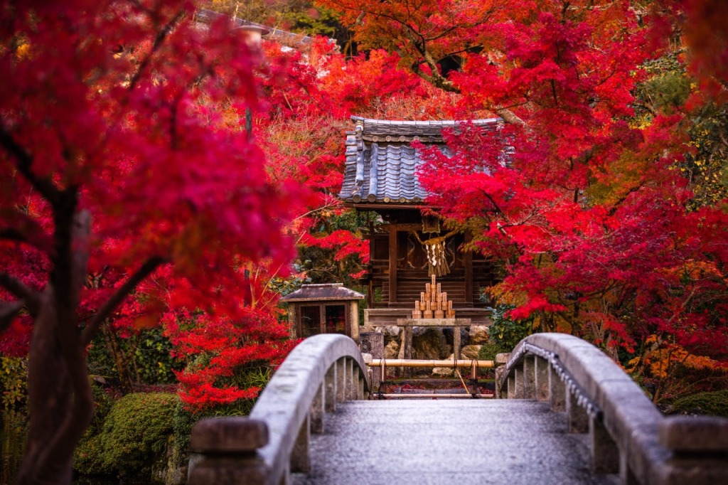 京都